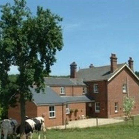Mill Farm Villa Exeter Bagian luar foto