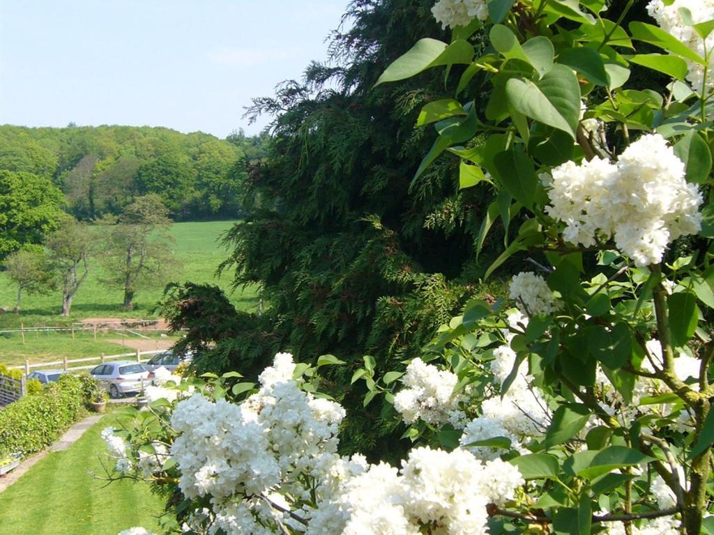 Mill Farm Villa Exeter Bagian luar foto