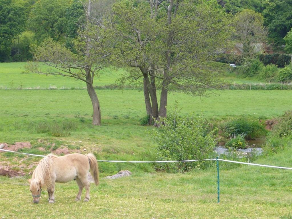 Mill Farm Villa Exeter Bagian luar foto